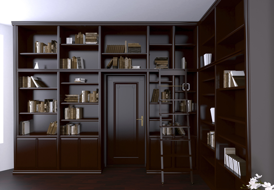 Темный книжный шкаф